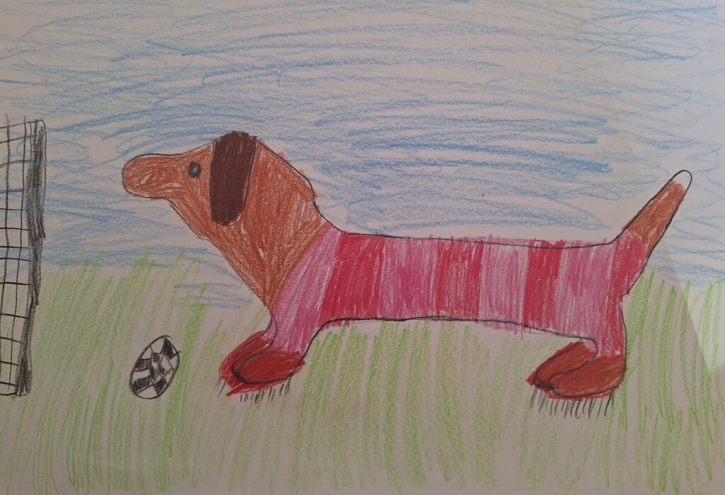 Kinderzeichnung eines braunen Hundes mit langem Körper, der einen rot-rosa gestreiften Pullover trägt und auf grünem Gras steht, mit einem schwarz-weißen Fußball in der Nähe und einem Netz auf der linken Seite, unter einem blauen Himmel.